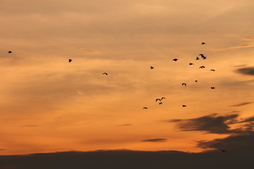 夕焼74