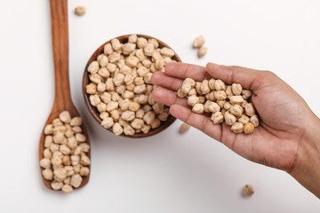 Uncooked dried chickpeas in hand