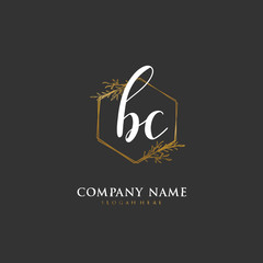 Handwritten initial letter B C BC for identity and logo. Vector logo template with handwriting and signature style.