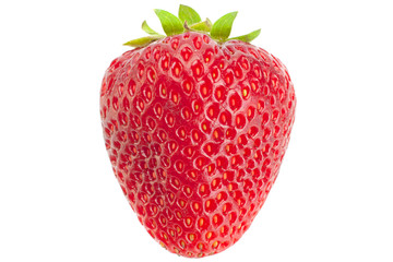 Strawberry fruit closeup