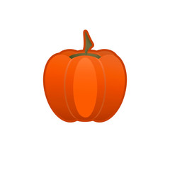 orange pumpkin icon on a white background
