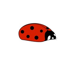 Ladybird red icon. Illustration ladybug in olive square. Cute colorful sign insect symbol spring, summer, garden. Template for t shirt, apparel, card, poster. Design element. Vector illustration.