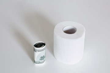 100 dollars rolled up and one roll of toilet paper on a white background