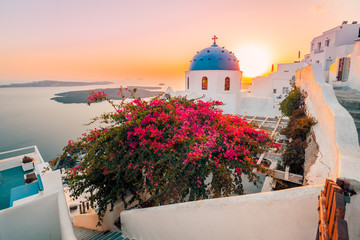 Romantic summer view of traditional caldera Santorini church houses on small street with flowers in foreground. Beautiful sunset Oia village, Santorini, Greece. Vacations travel background.