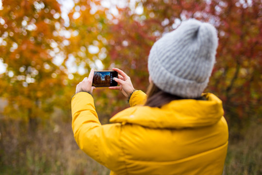 back view of woman taking photo of autumn forest