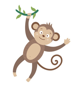 Vector cute monkey hanging on liana isolated on white background. Funny tropical animal illustration. Bright flat picture for children. Jungle summer clip art.