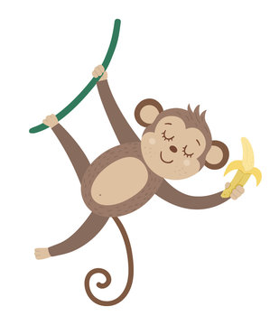 Vector cute monkey hanging on liana with banana isolated on white background. Funny tropical animal and fruit illustration. Bright flat picture for children. Jungle summer clip art.