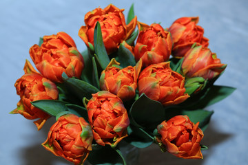 Obraz na płótnie Canvas Bouquet of orange tulips close-up
