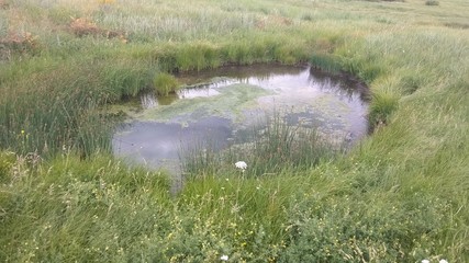 Поход к метеоритному кратеру гор Шунак 6-7 июля 2019 года