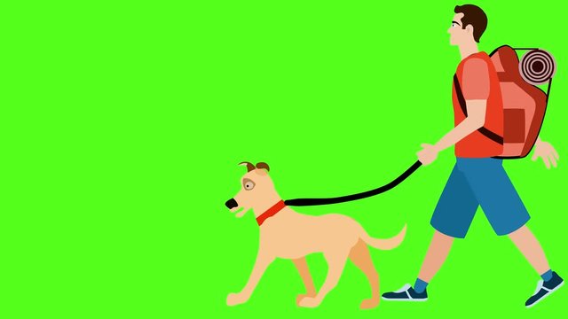 Man walks with dog, greenscreen background