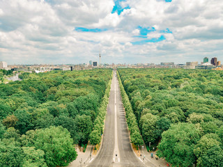 berlin avenue surrounded by trees on a cloudy day