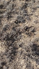 Поход к мавзолею Агыбай Батыра