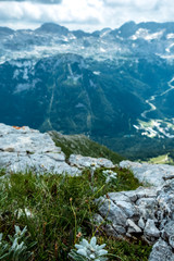 The majestic Julian Alps