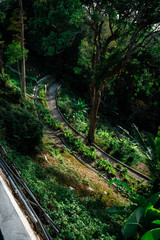 green walking trails