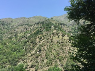Fototapeta na wymiar clear sky below green trees in Naran Pakistan