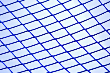 Blaues Netz
