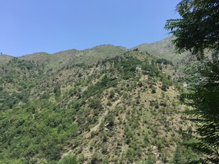Fototapeta na wymiar clear sky below green trees in Naran Pakistan