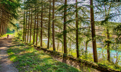 Fototapeta premium Breil sur Roya-Mercantour-Sentier de l'Arpette