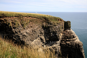 Crawton Bay (Scotland), UK - August 01, 2018: Cliff view at Crawton Bay, Scotland, Highlands, United Kingdom