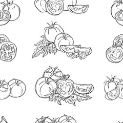 Tomatoes. Hand drawn vegetables on white background.  Vector seamless pattern.