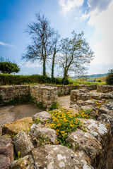 The ancient roman villa 3