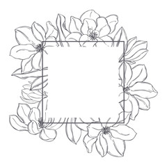 Hand drawn magnolia flowers on  white background. Vector frame.