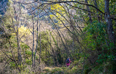 Breil sur Roya-Mercantour-Sentier de l'Arpette