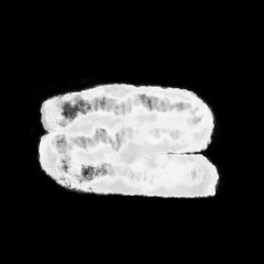 Wet ink geometric shape. Brush paint strokes. Texture brushes and modern grunge brush lines. Ink brush artistic design element for frame design. Isolated element.