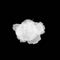 Wet ink geometric shape. Brush paint strokes. Texture brushes and modern grunge brush lines. Ink brush artistic design element for frame design. Isolated element.