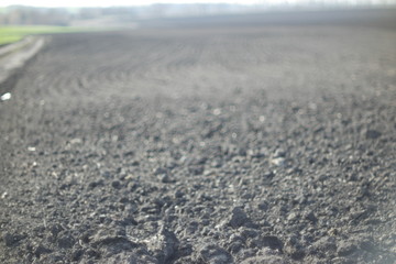  plowed field 