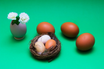 Easter decoration with eggs on a springy, green background