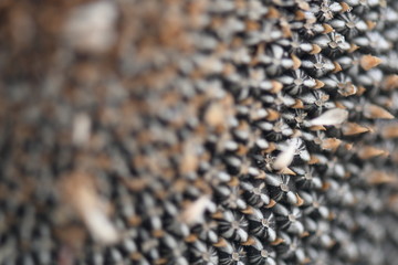 background of texture