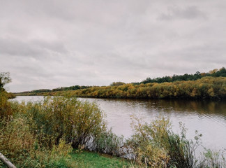 Obraz premium river and yellow-green field