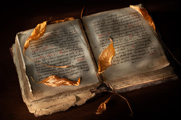 The ancient book in leather reliure on a light background