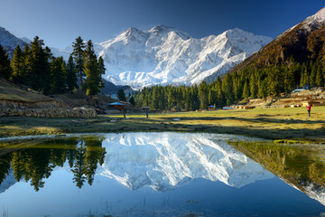 Nanga Parbat reflected in a pond at Fairy Meadows.