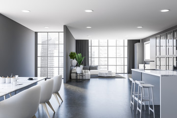 Gray kitchen and living room interior