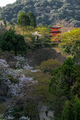 Fototapeta na wymiar 日本 京都 清水寺の桜と春景色