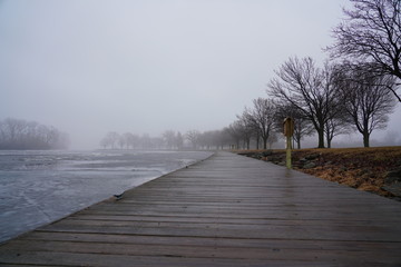 Plakat Quiet community park covered in dense fog during cold winter to spring season day