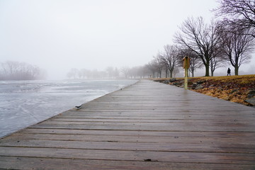 Plakat Quiet community park covered in dense fog during cold winter to spring season 