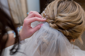 Fototapeta premium bride put on a veil