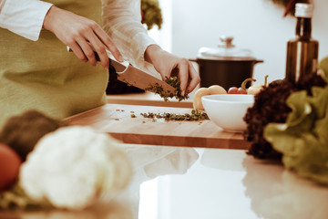 Unknown human hands cooking in kitchen. Woman is busy with vegetable salad. Healthy meal, and vegetarian food concept