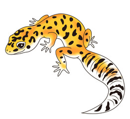 ヒョウモントカゲモドキ キャラクター イラスト