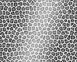 Obraz premium ヒョウ柄の背景素材（モノクロ）