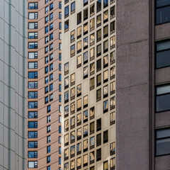 rhythm between windows and facades