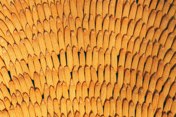 corn cobs are linked as a background for the entire frame	