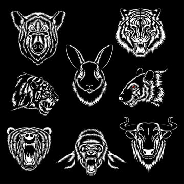 Set of vector images of animals. Bear, tigers, bull, wild boar, rat, gorilla, hare. White images on a black background.
