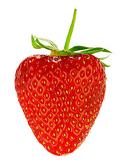 Strawberry isolated on white background.