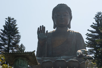 Buddha