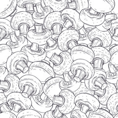 Hand drawn mushrooms. Champignons on white background.  Vector seamless pattern.