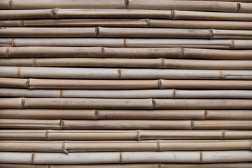 Bamboo texture. Dry bamboo stalks. in horizontal position.